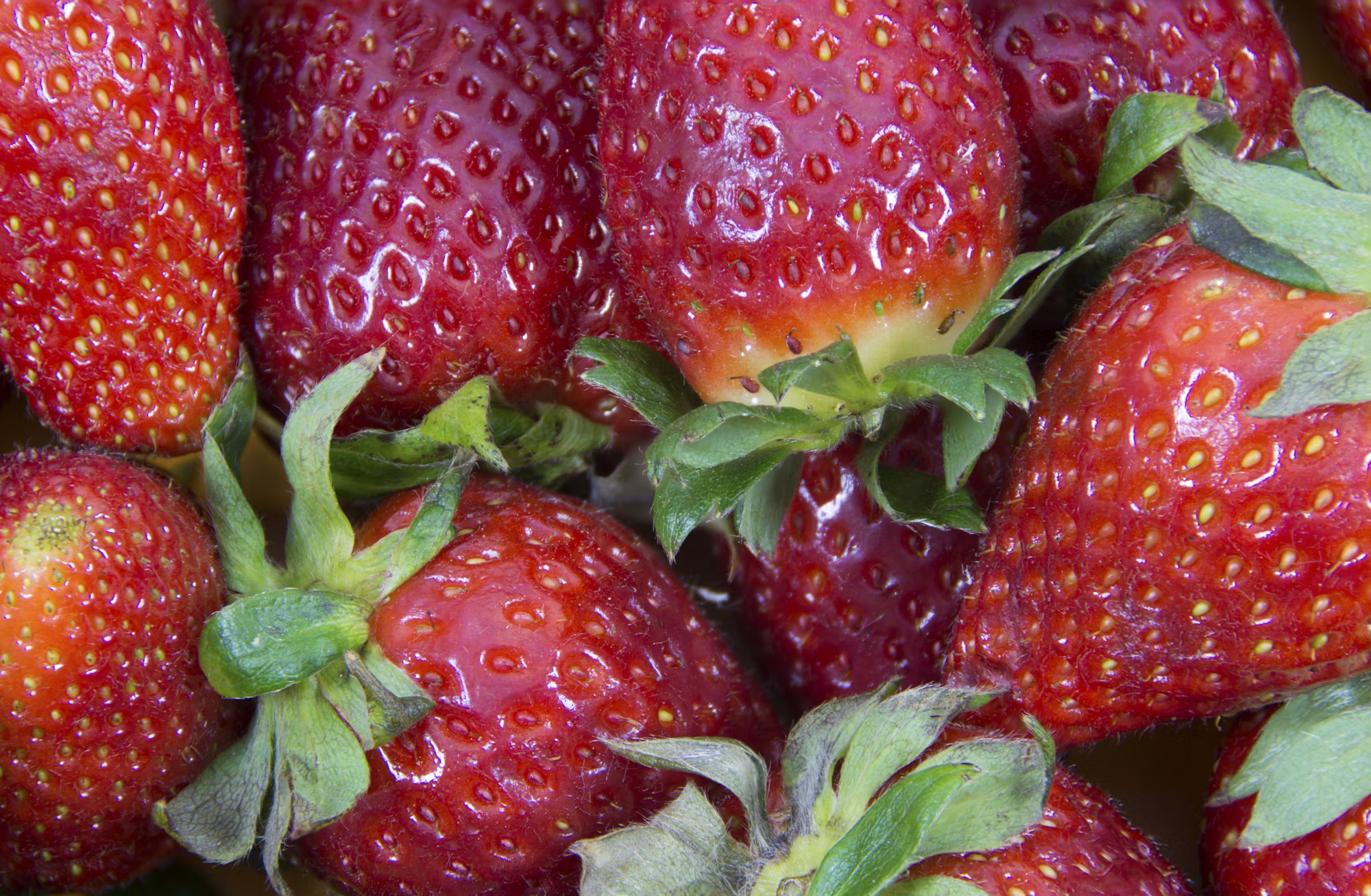 Harnessing the Power of Whole Foods for a Vibrant Life